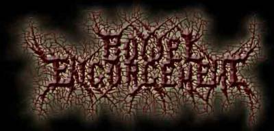 logo Bowel Engorgement